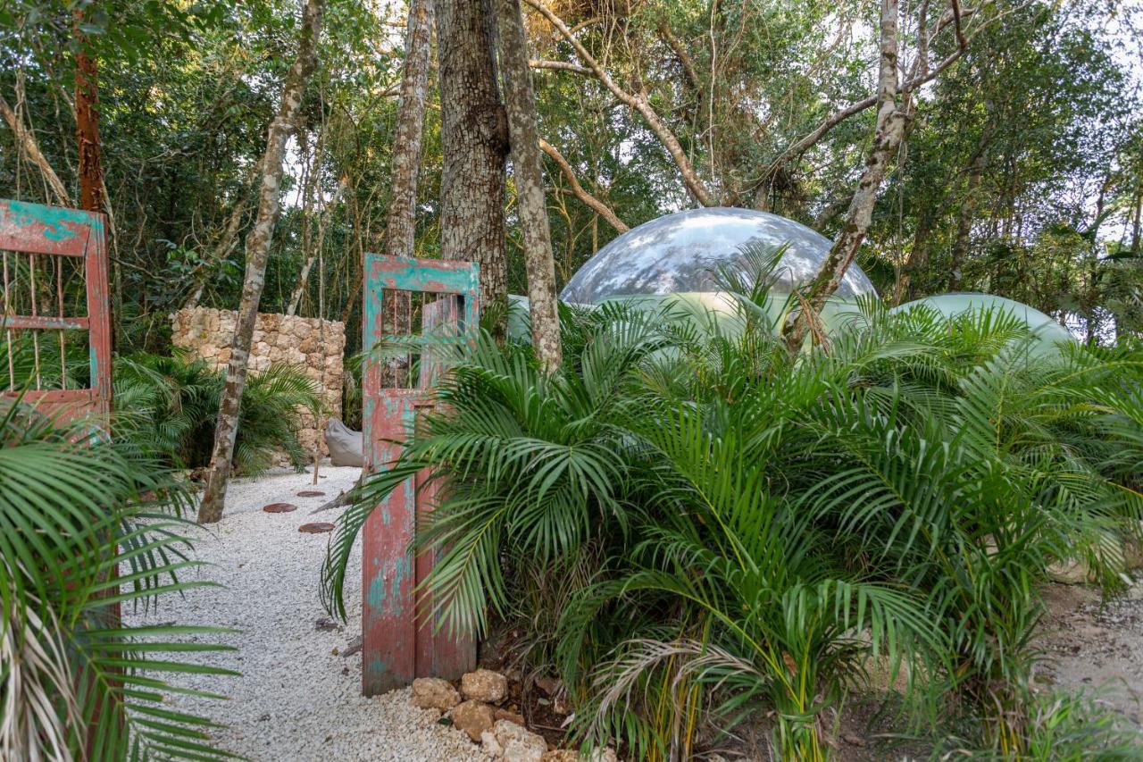 Oom Bubble Boutique Riviera Cancun - Adults Only Puerto Morelos Ngoại thất bức ảnh